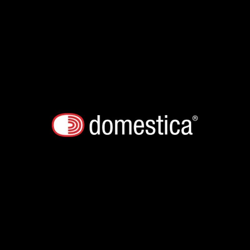 DOMESTICA